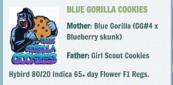 Blue Gorilla Cookies